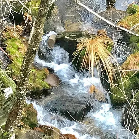 Janelas Da Cabreira *