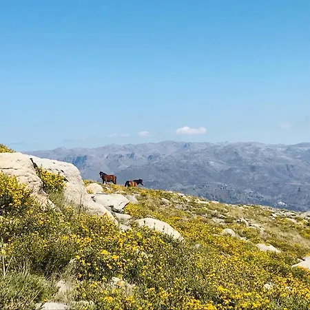 Janelas Da Cabreira Country house *