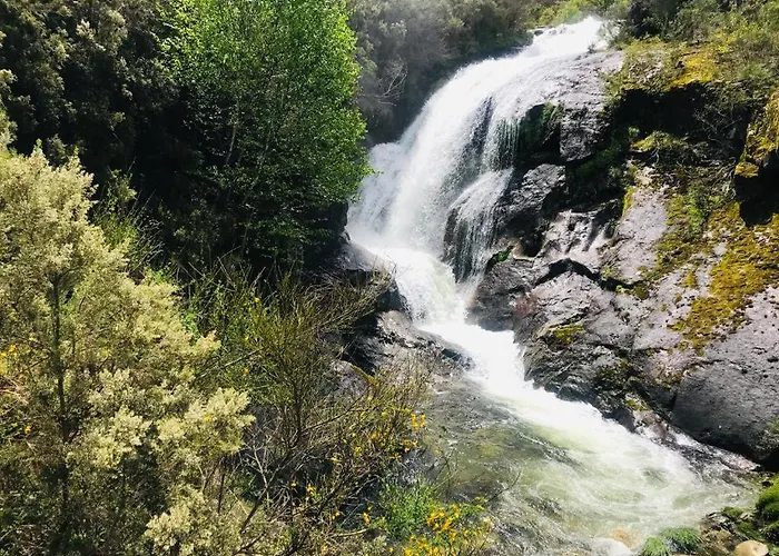 Janelas Da Cabreira Campos