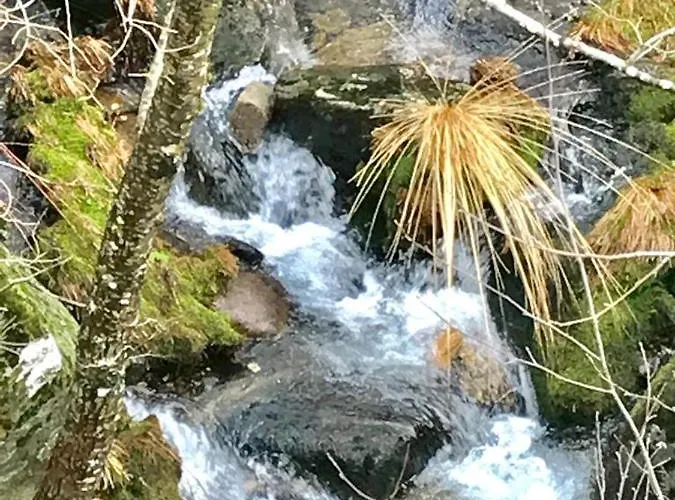 Janelas Da Cabreira *