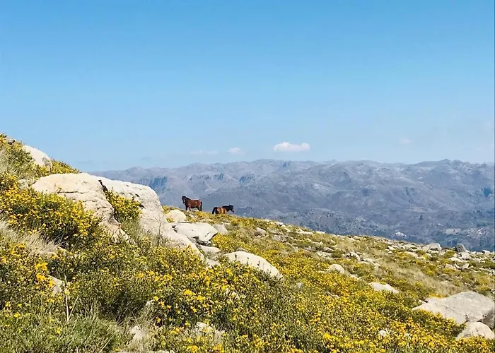 Janelas Da Cabreira Hétvégi ház *